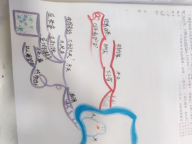 褡ƷϵĶ졷8ڼ-ѧĿģ