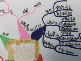 01ҵͼ-ٶѧϰ925021-003-9-7