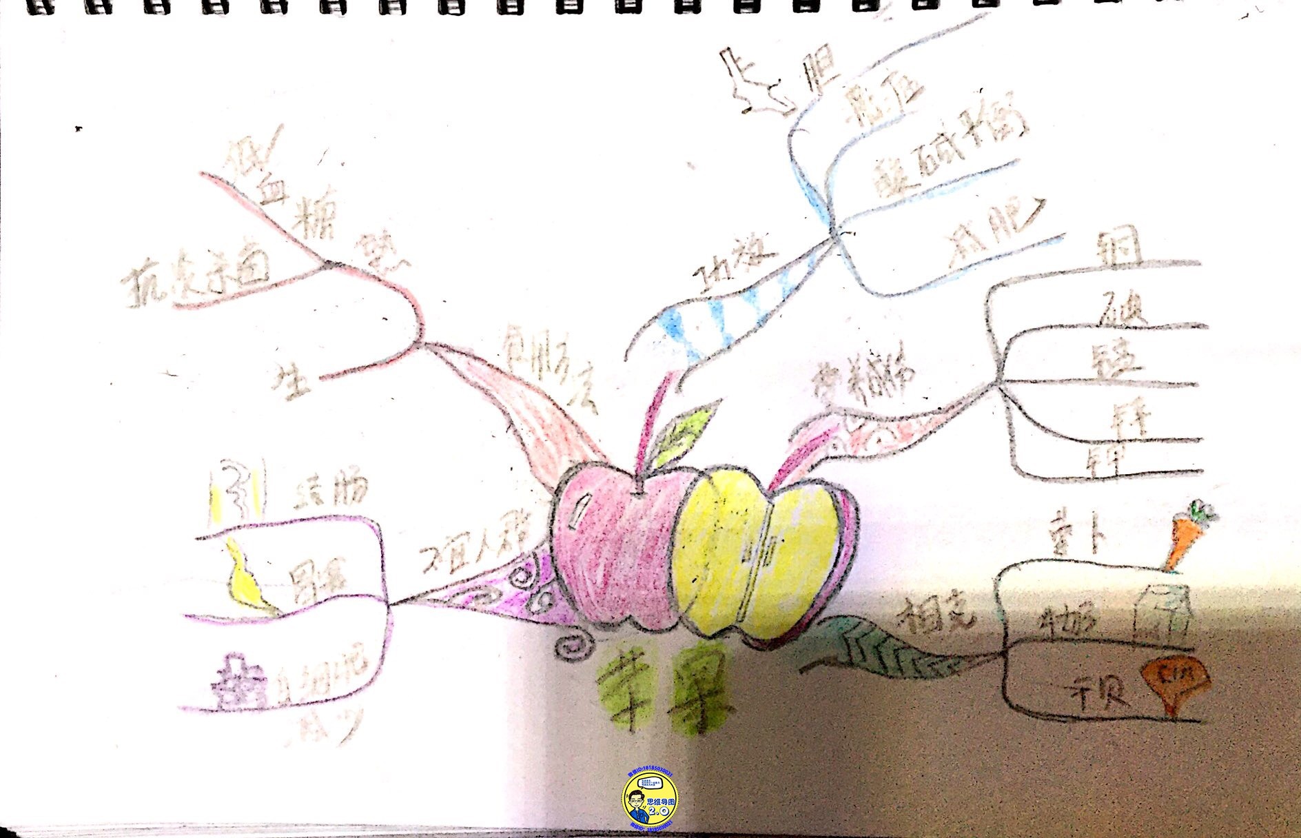 813CDCF3-3CAF-4BAD-A52E-D184CF03F6F3.jpeg