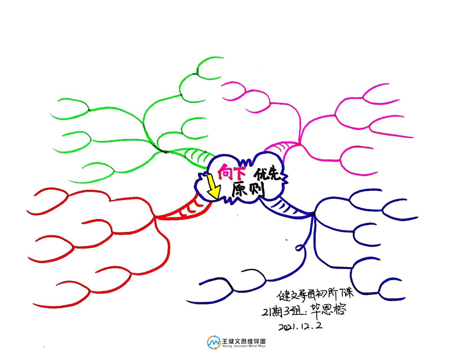 鎵?弿鍏ㄨ兘鐜